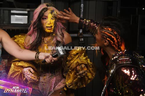 Sashabankswwe Exclusive Leaked Nude OnlyFans #11115734