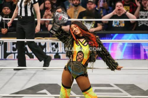 Sashabankswwe Exclusive Leaked Nude OnlyFans #11120365
