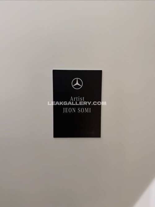 Somsomi0309 Exclusive Leaked Nude OnlyFans #12049792