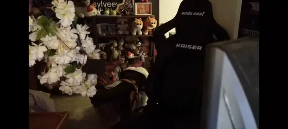 sylvee