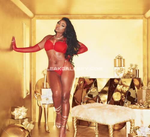 Theestallion Exclusive Leaked Nude OnlyFans #11505124