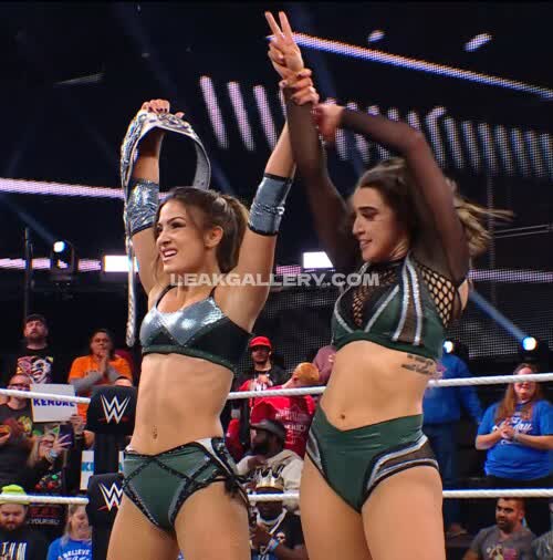 Wrensinclairwwe Exclusive Leaked Nude OnlyFans #11008806