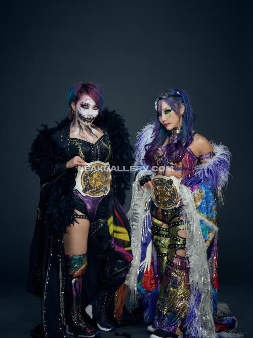 Wwe_asuka Exclusive Leaked Nude OnlyFans #11241675