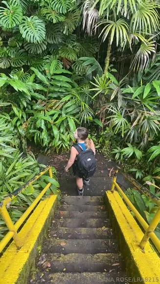 alanarose8