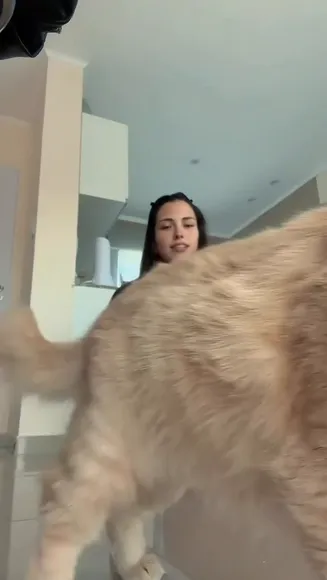 Aldi Bernardo Shorts And Crop Top OnlyFans Video Leaked