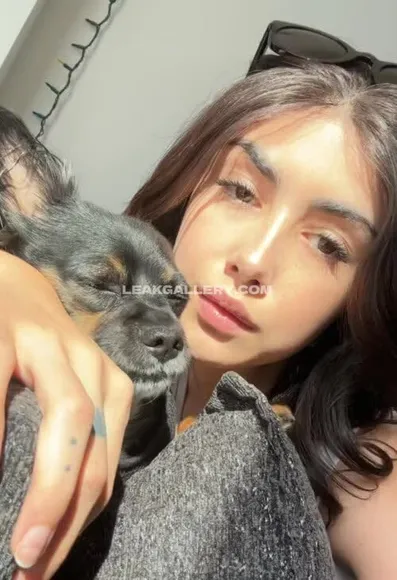 alexamansour