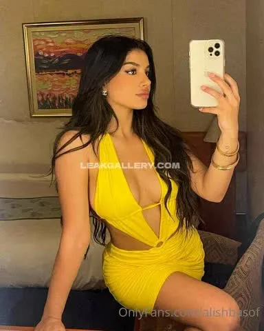 alishbasheikh