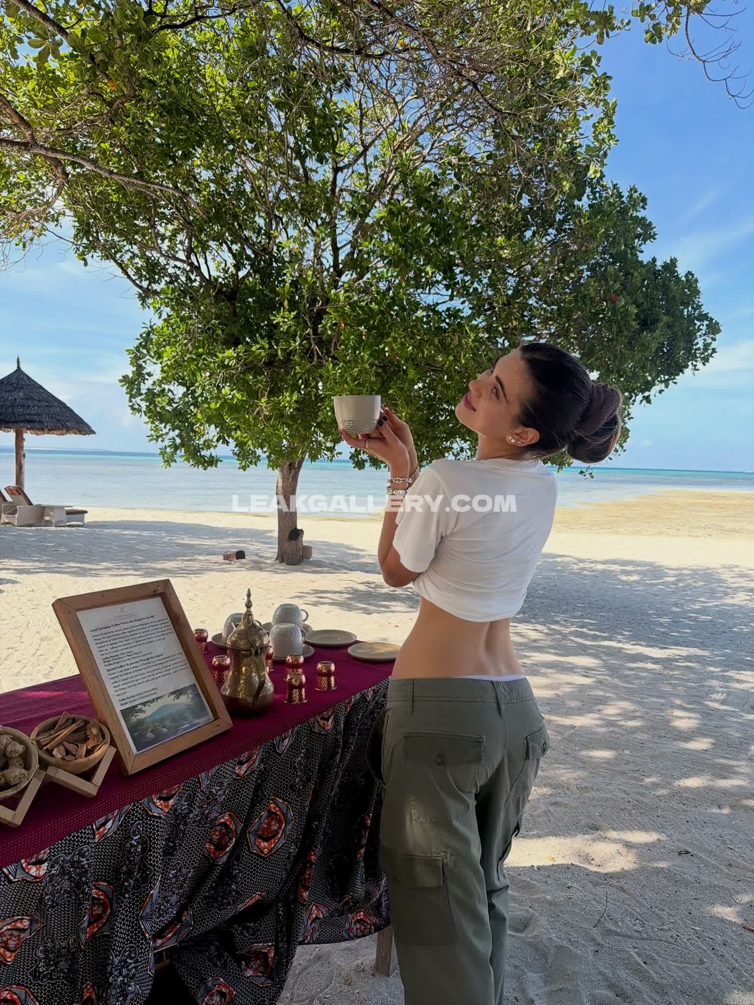 Ameliezilber Exclusive Leaked Nude OnlyFans #12637443