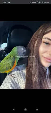 amorekiwik