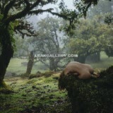 Annaralphs / anna.ralphs / deanralphs Exclusive Leaked Nude OnlyFans #13441895