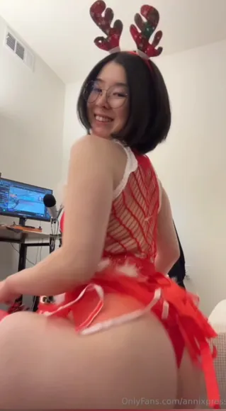 annixpress