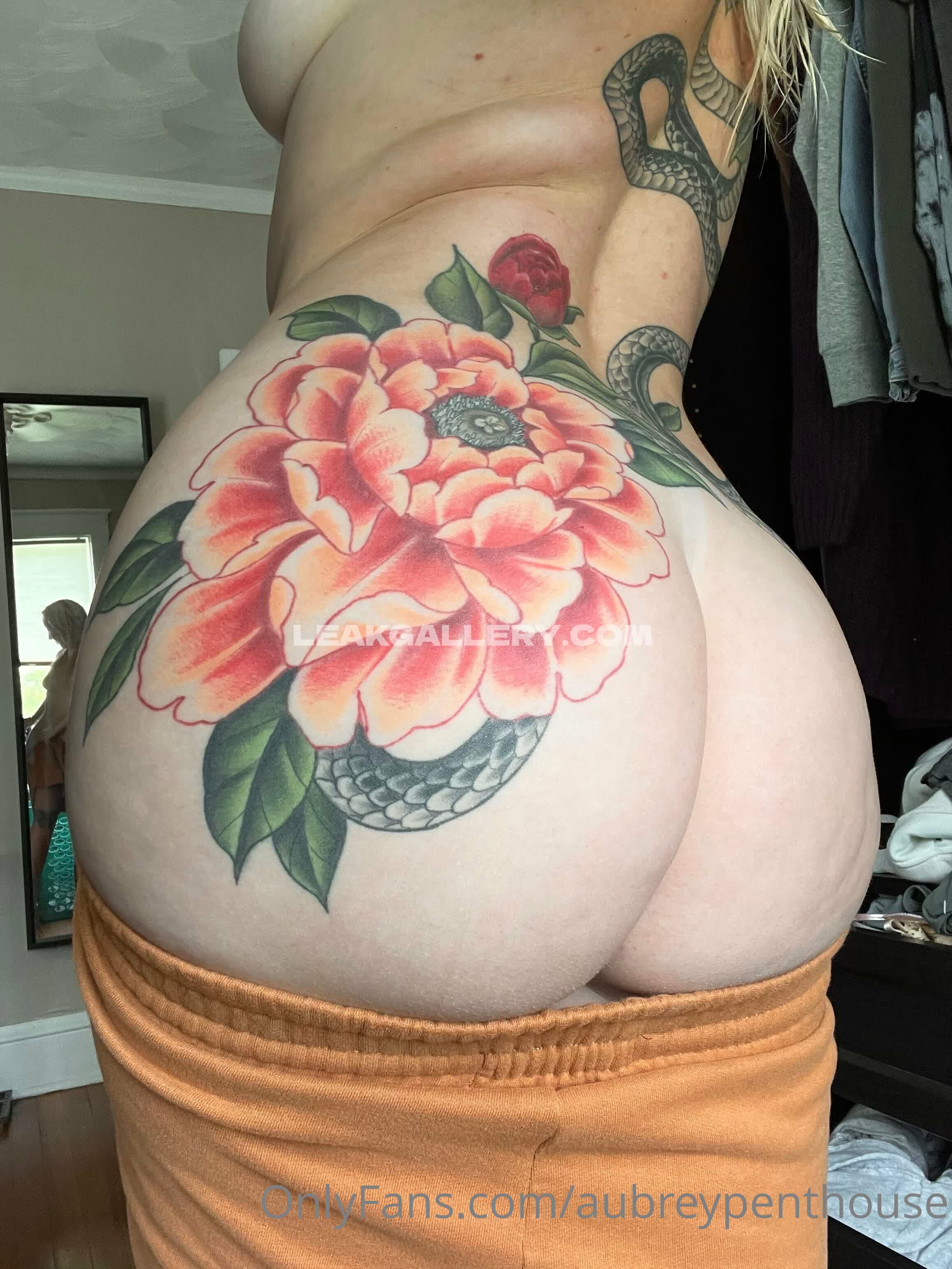 Aubreypenthouse Exclusive Leaked Nude OnlyFans #13069340