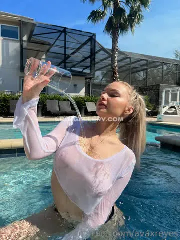 avaxreyes