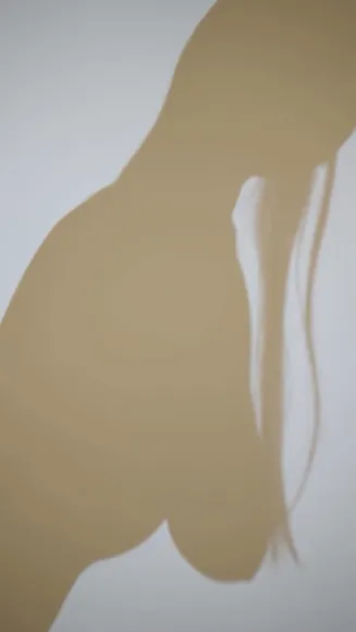Ayami_olol Shadowed Body Silhouette OnlyFans Video Leaked