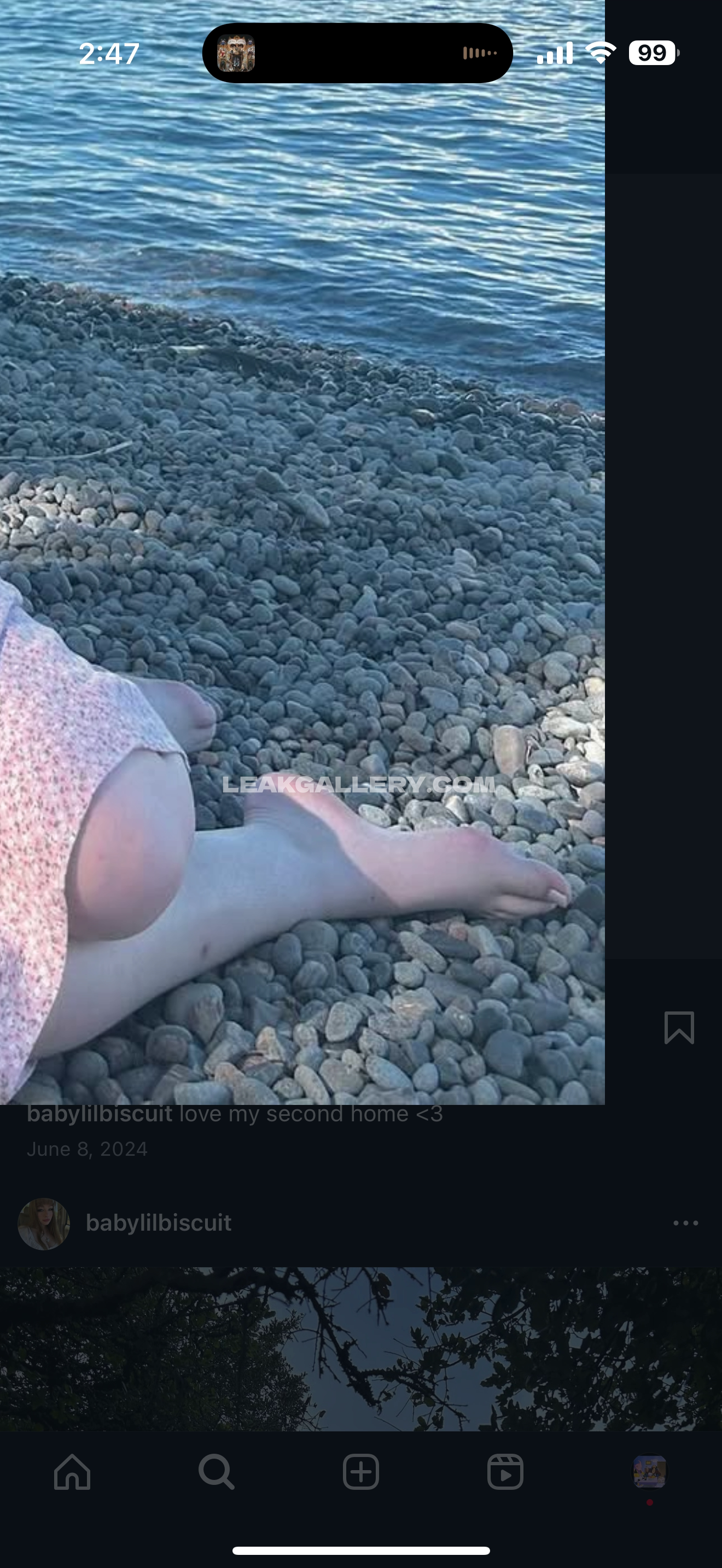 Babylilbiscuit / lauren_reed Exclusive Leaked Nude OnlyFans #13414588