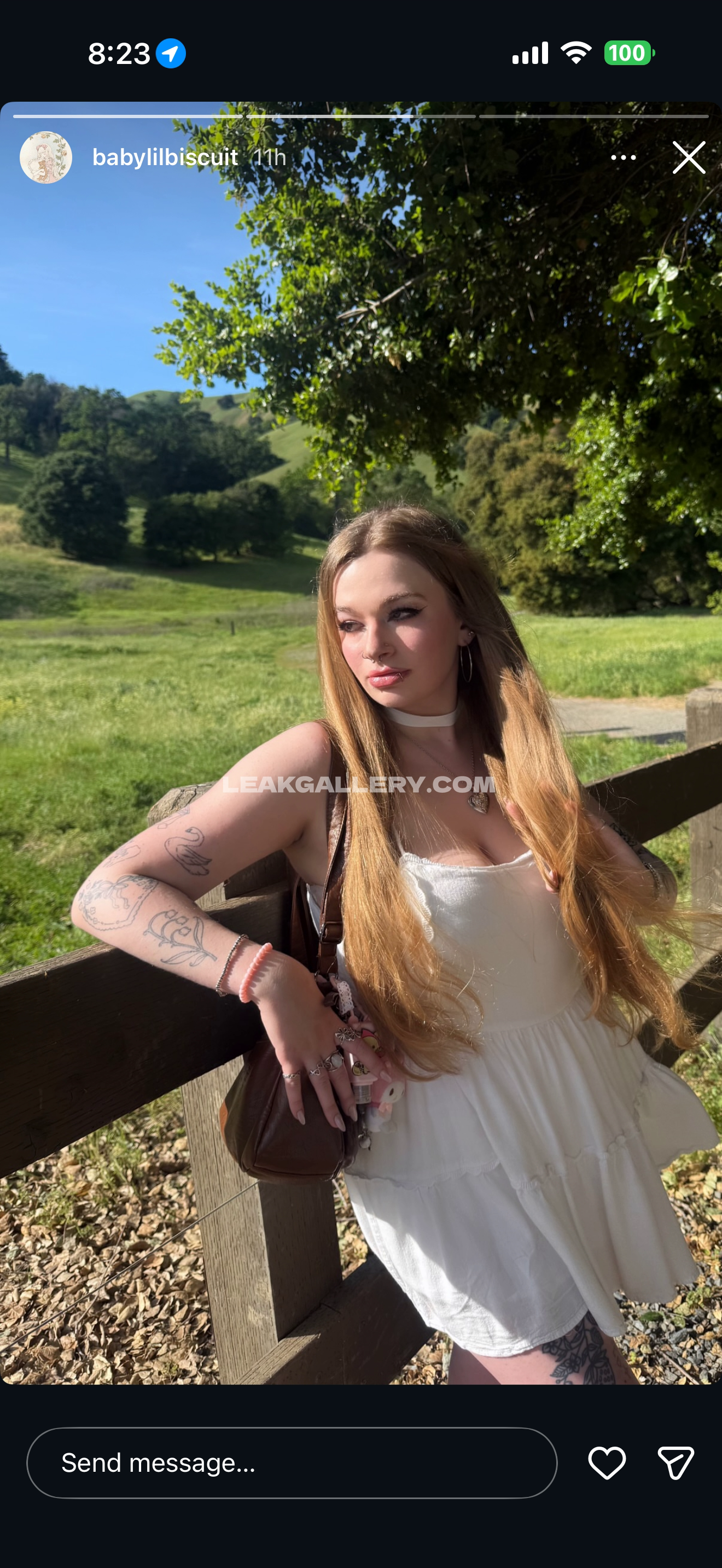 Babylilbiscuit / lauren_reed Exclusive Leaked Nude OnlyFans #13414581
