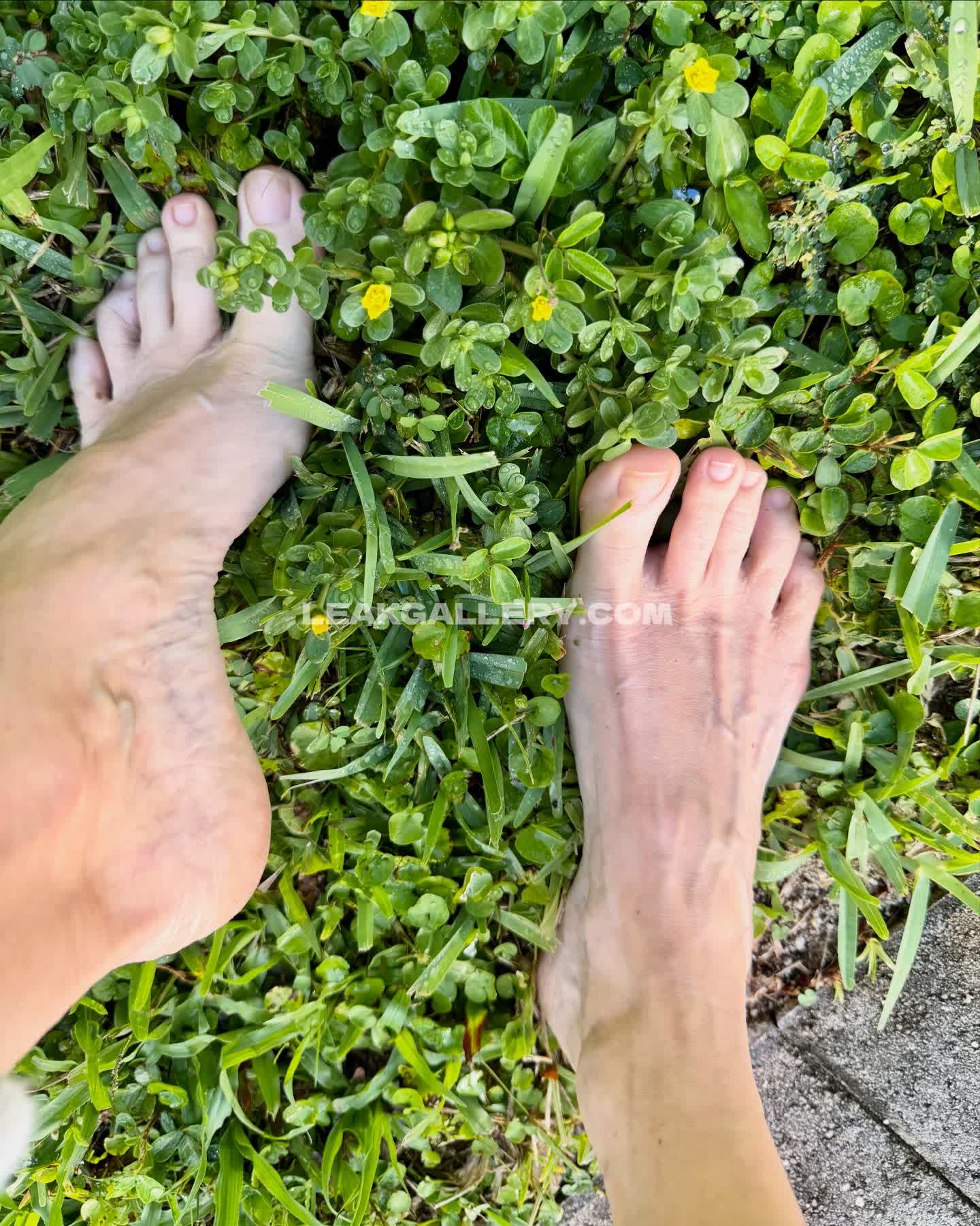 Barearchedbeauty Exclusive Leaked Nude OnlyFans #12682567