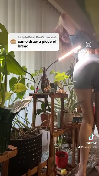 bug