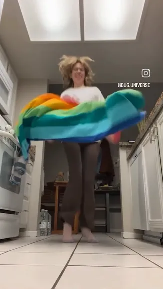 bug