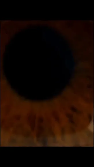 chaelanl