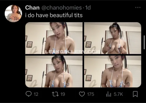 chanohomies