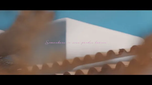 demirose