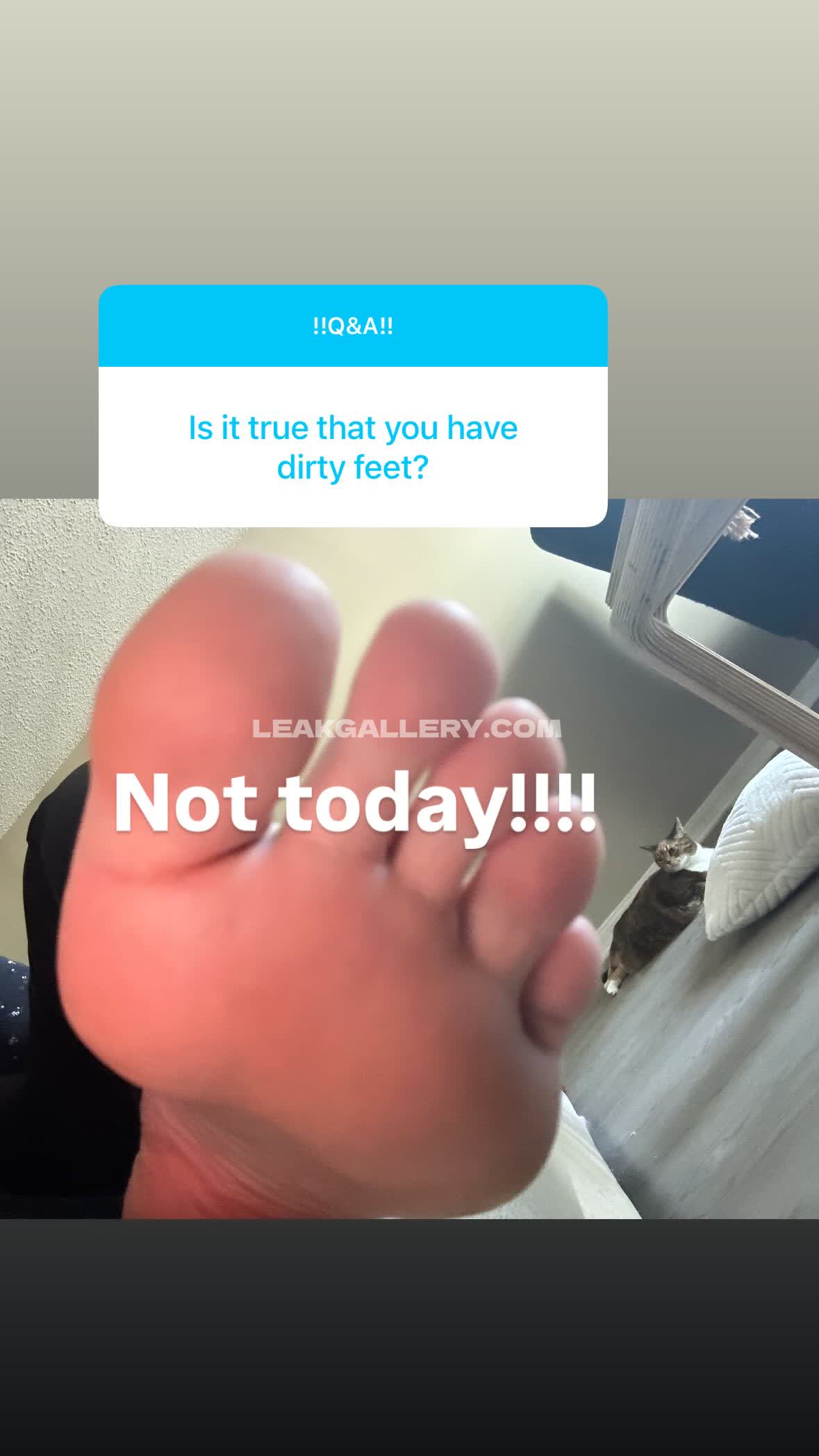 Diovana_konigsreuter / diokonigsreuter Exclusive Leaked Nude OnlyFans #13051320