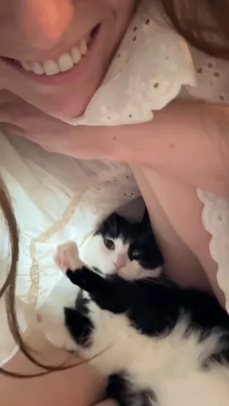 Doddleoddle Lace Bodysuit With Cat OnlyFans Video Leaked