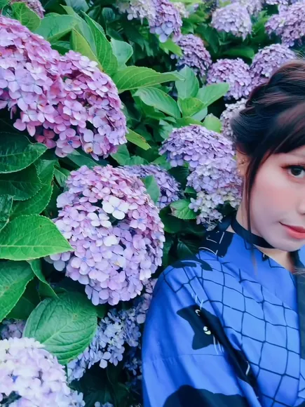 Eeelyeee Blue Kimono Cat Print OnlyFans Video Leaked