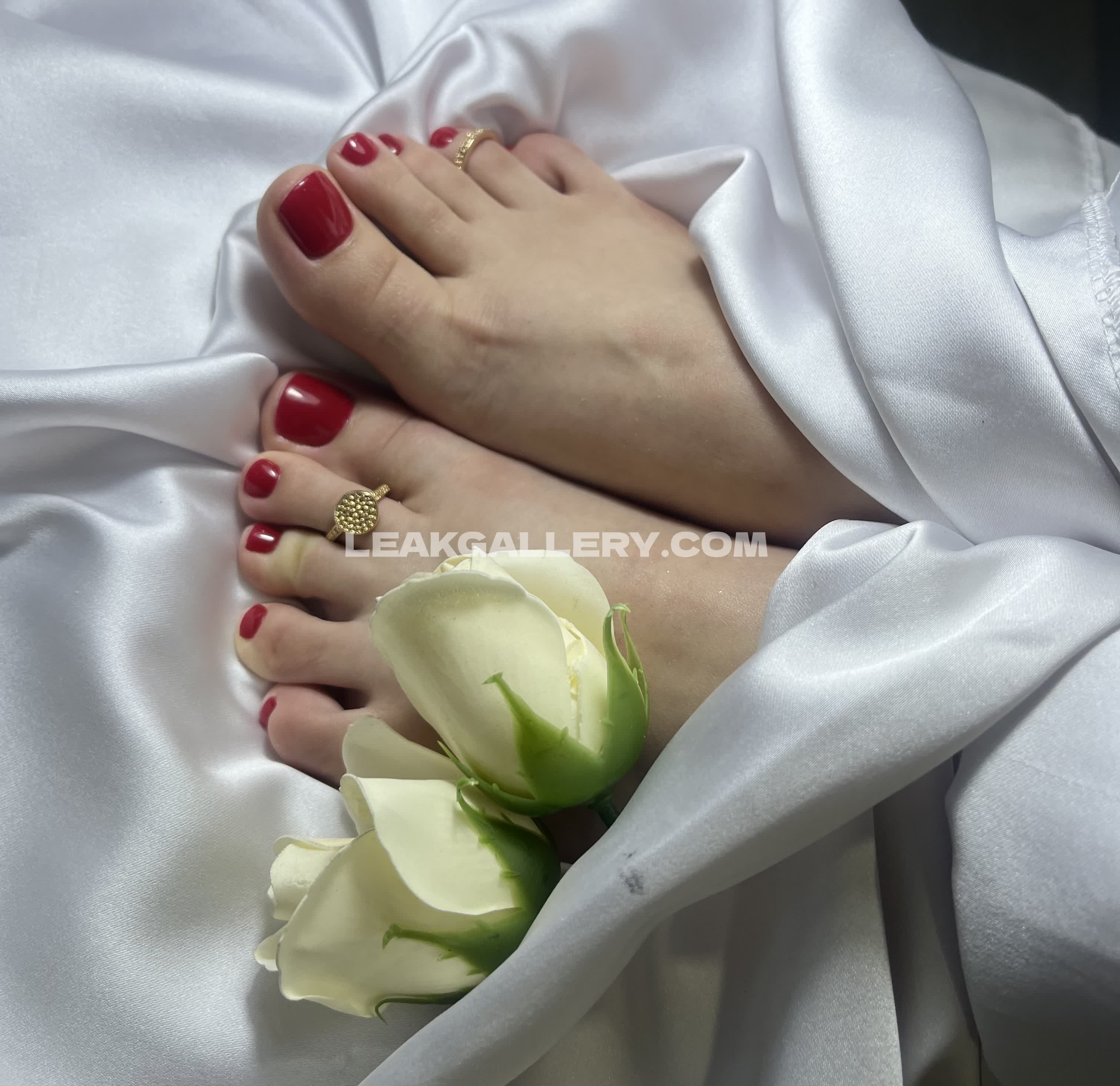 Elizabethmaestracci Exclusive Leaked Nude OnlyFans #13464252