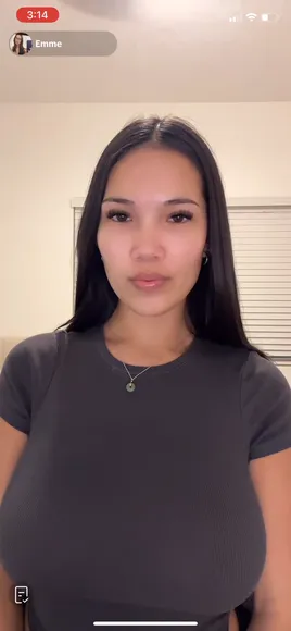 emme.dae