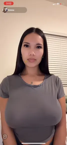 emme.dae