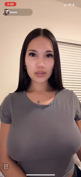 emme.dae