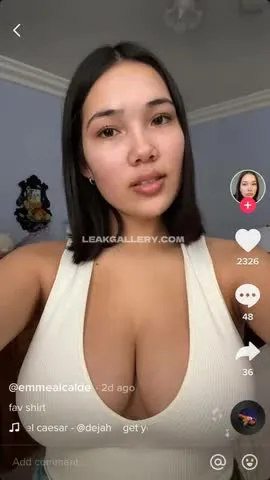 emme.dae