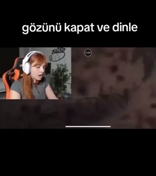 ertassla