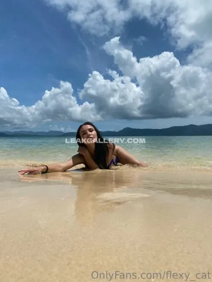 Flexy_cat Exclusive Leaked Nude OnlyFans #15066988