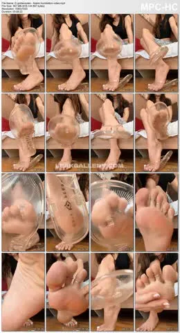 g_goldensoles