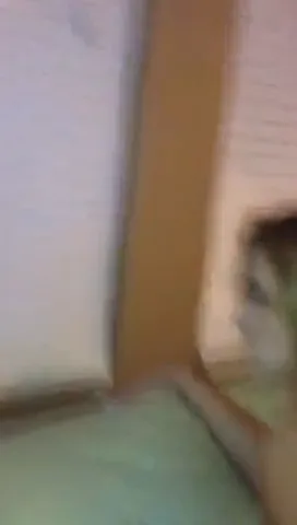 gloryholebabes