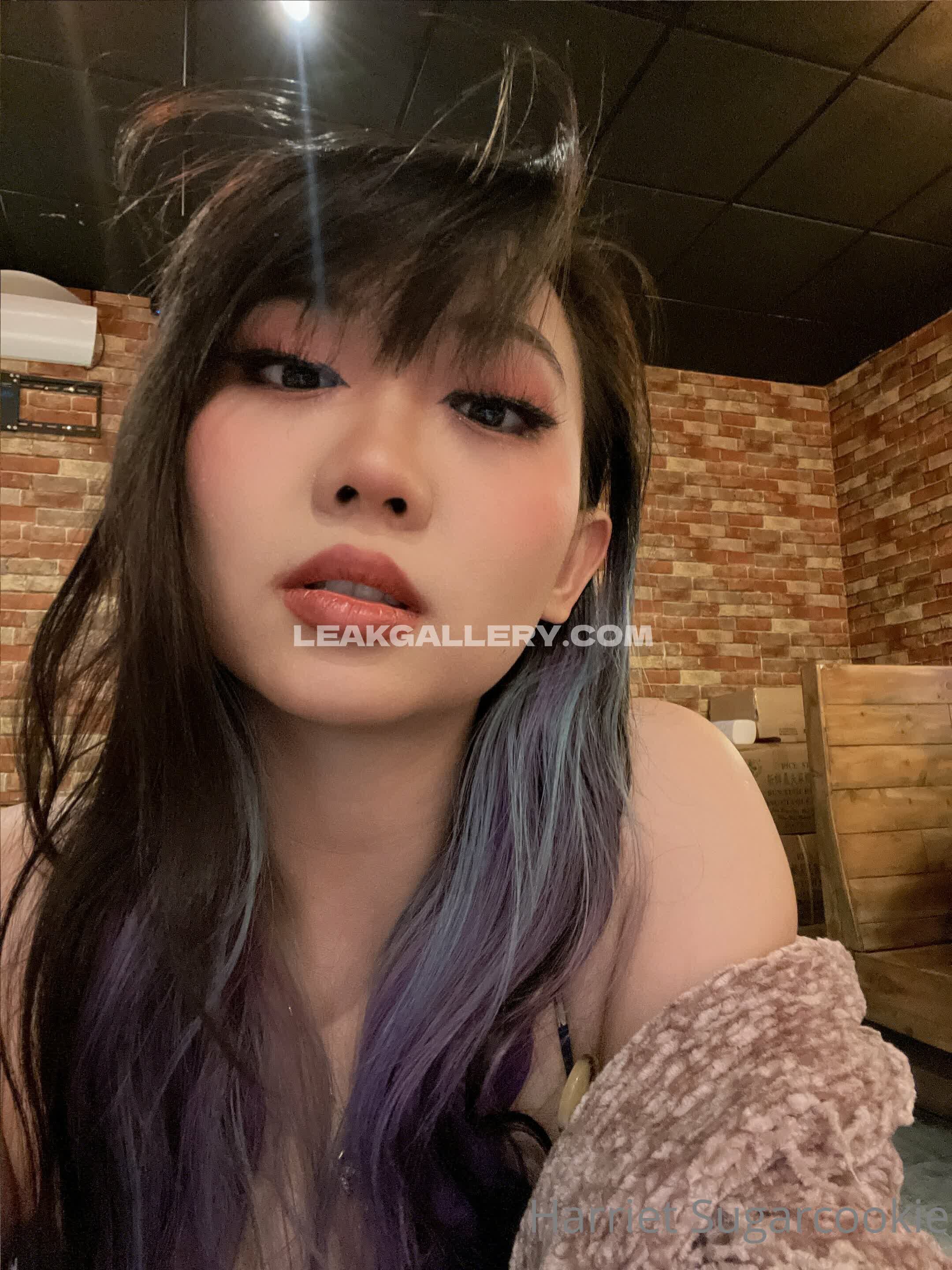 Harrietsugarcookie Exclusive Leaked Nude OnlyFans #12957031