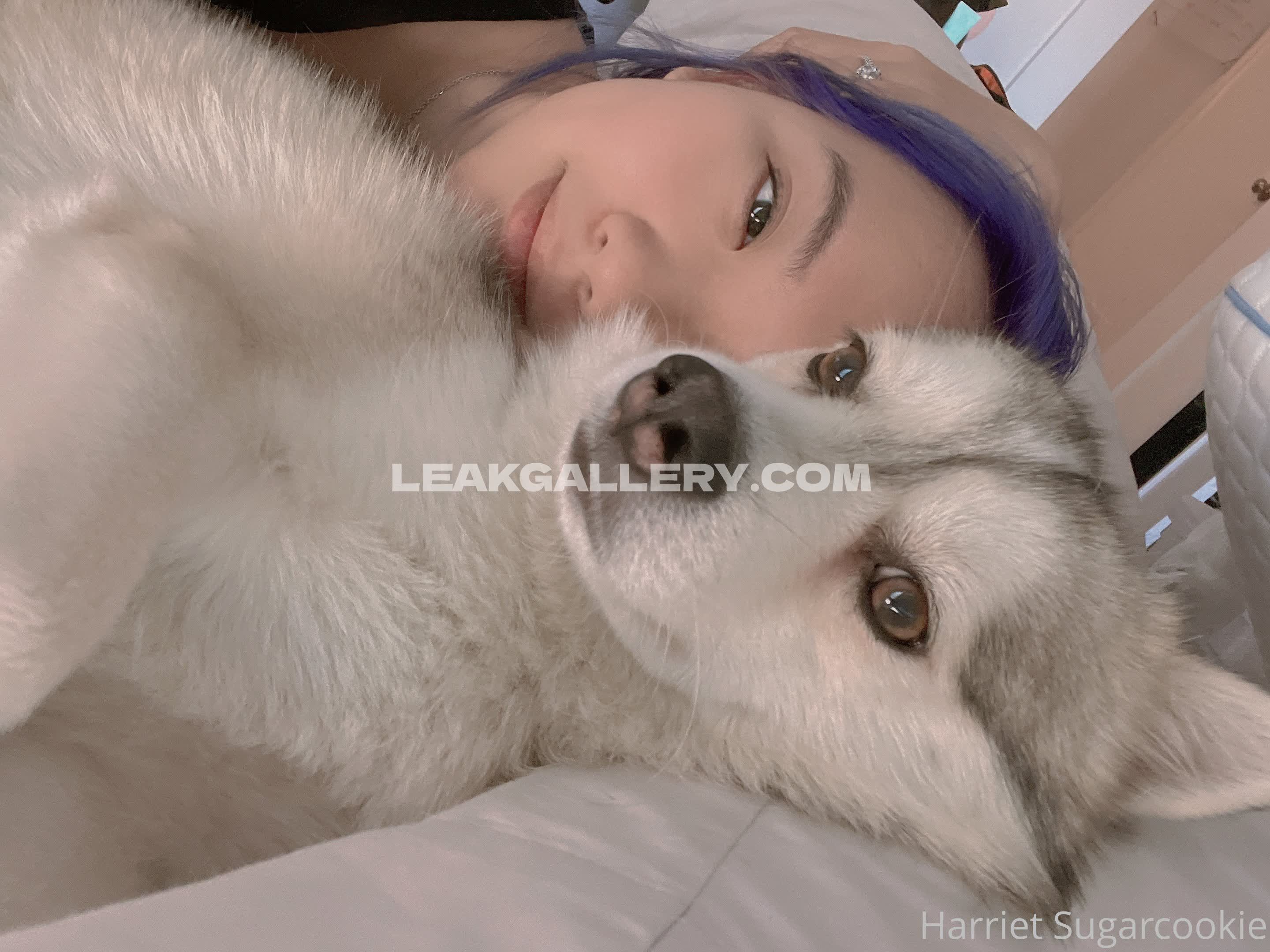 Harrietsugarcookie Exclusive Leaked Nude OnlyFans #12956275