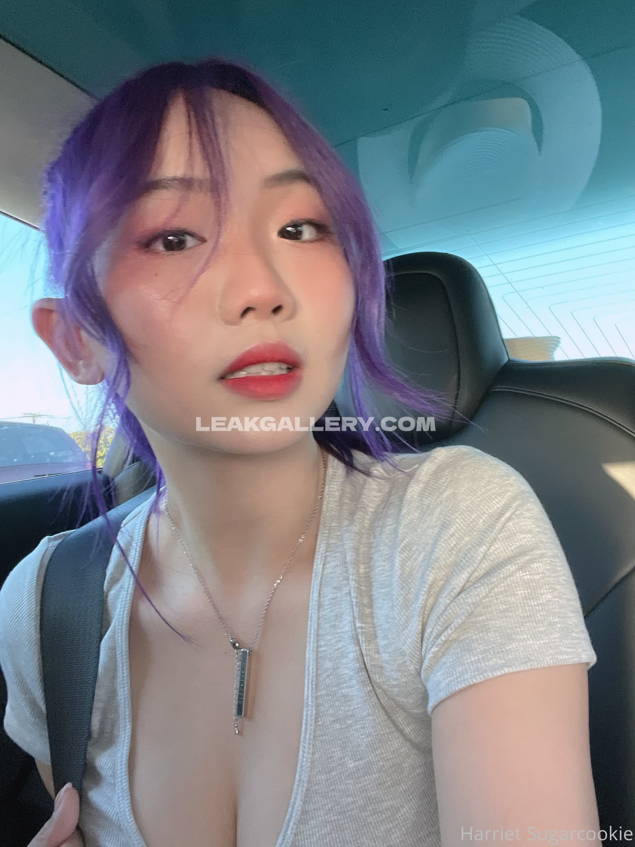 Harrietsugarcookie Exclusive Leaked Nude OnlyFans #12957370