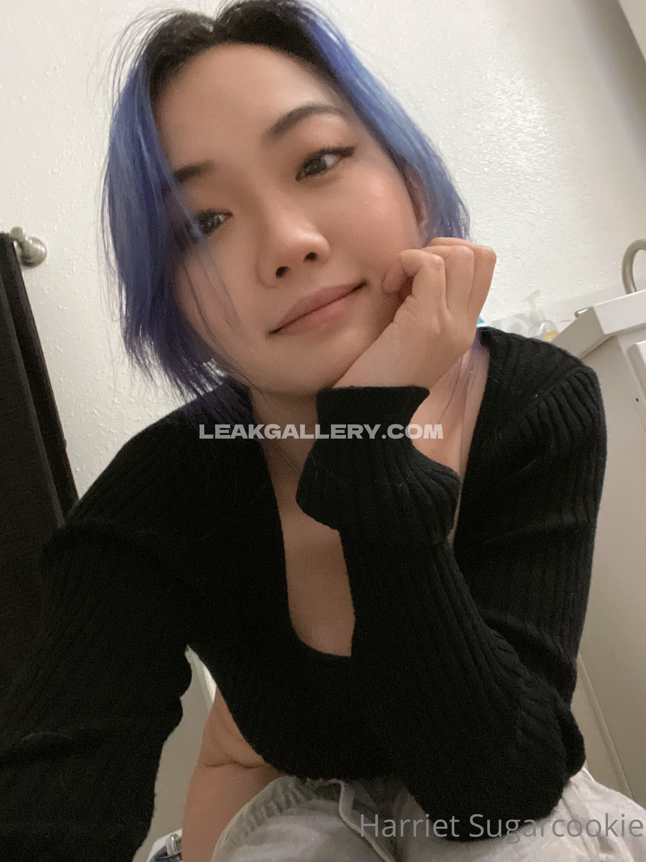 Harrietsugarcookie Exklusiv geleakte Nacktbilder von OnlyFans #12957595