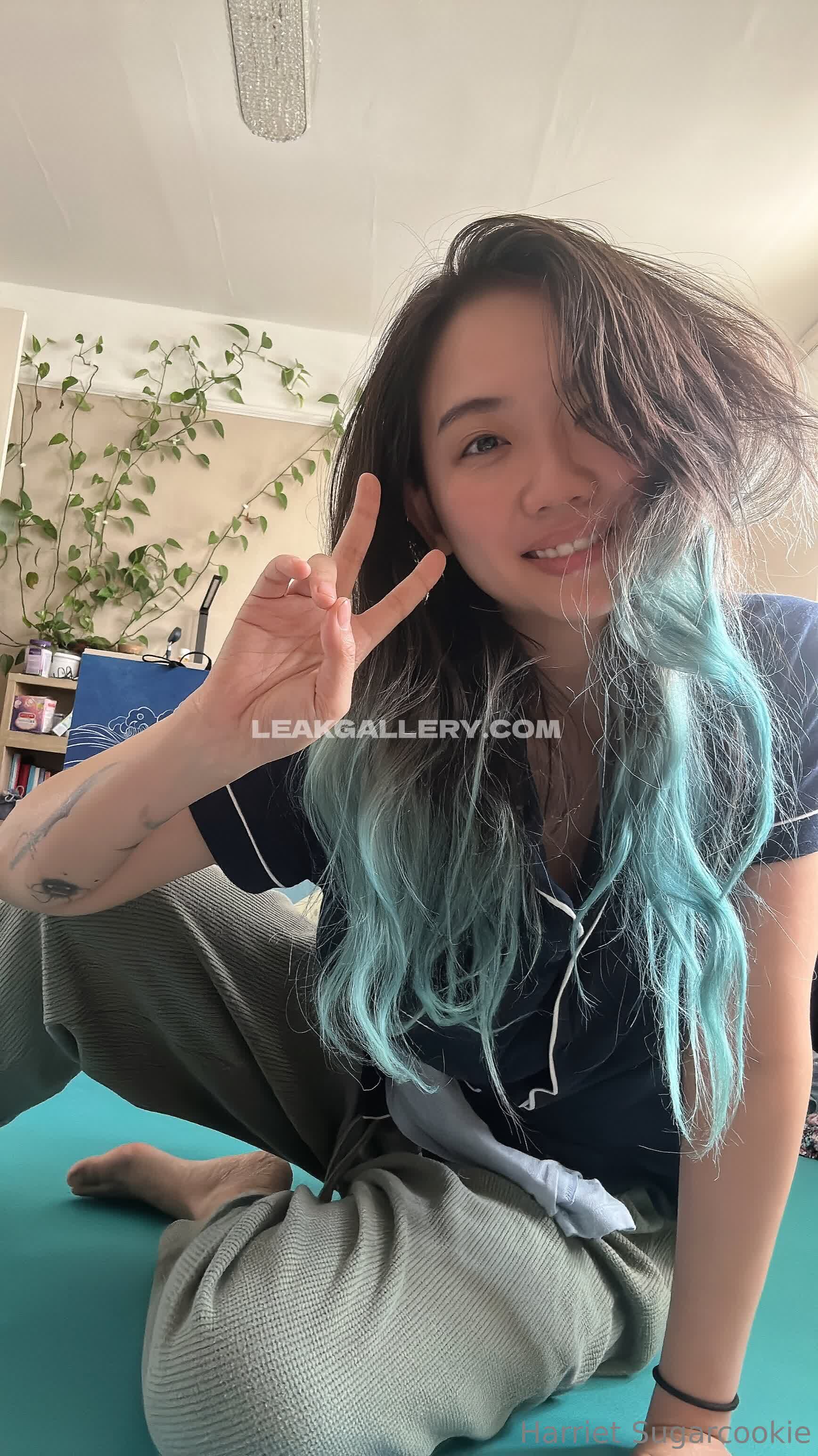 Harrietsugarcookie Exclusive Leaked Nude OnlyFans #12958392