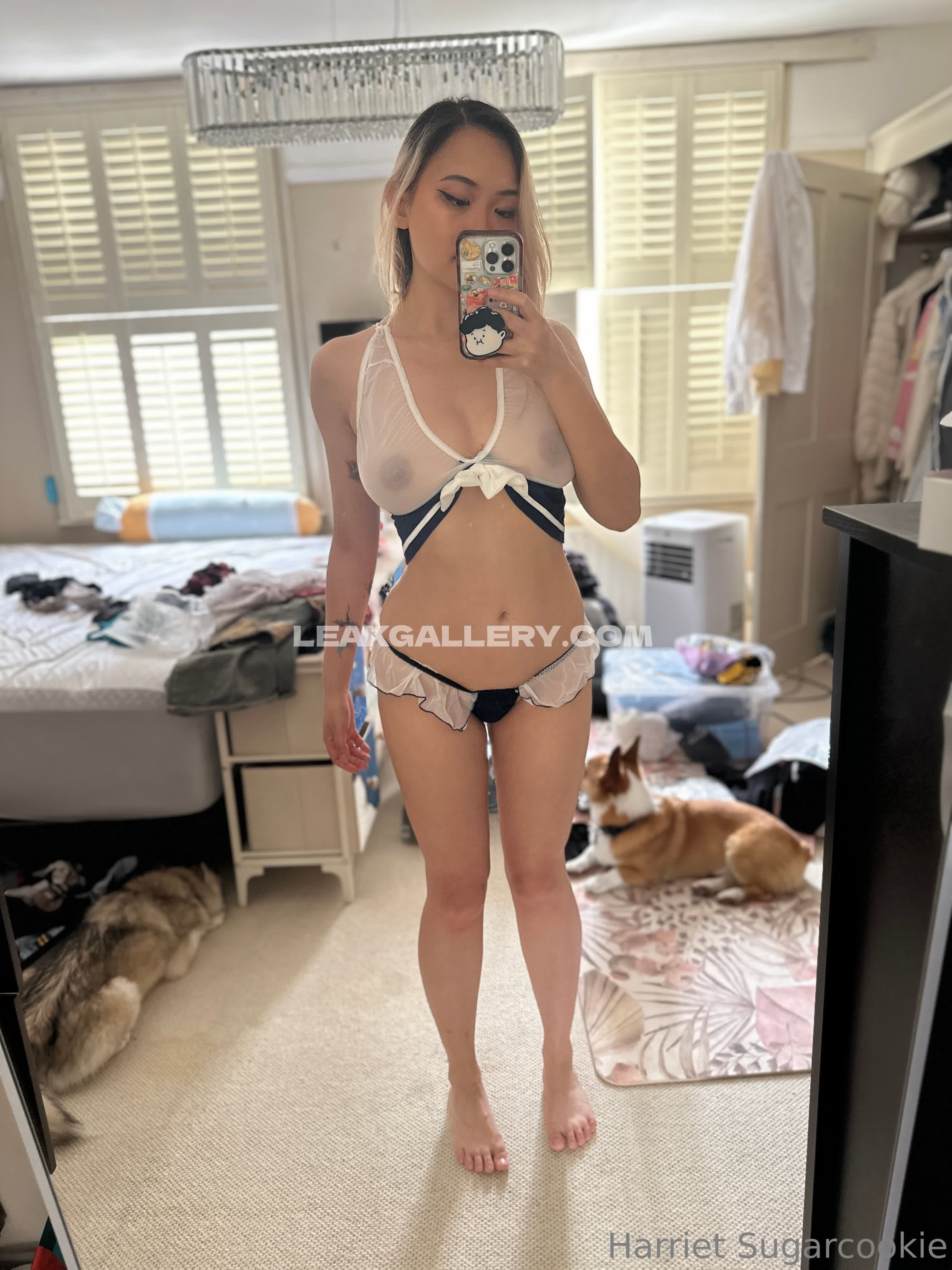 Harrietsugarcookie Exklusiv geleakte Nacktbilder von OnlyFans #12955989