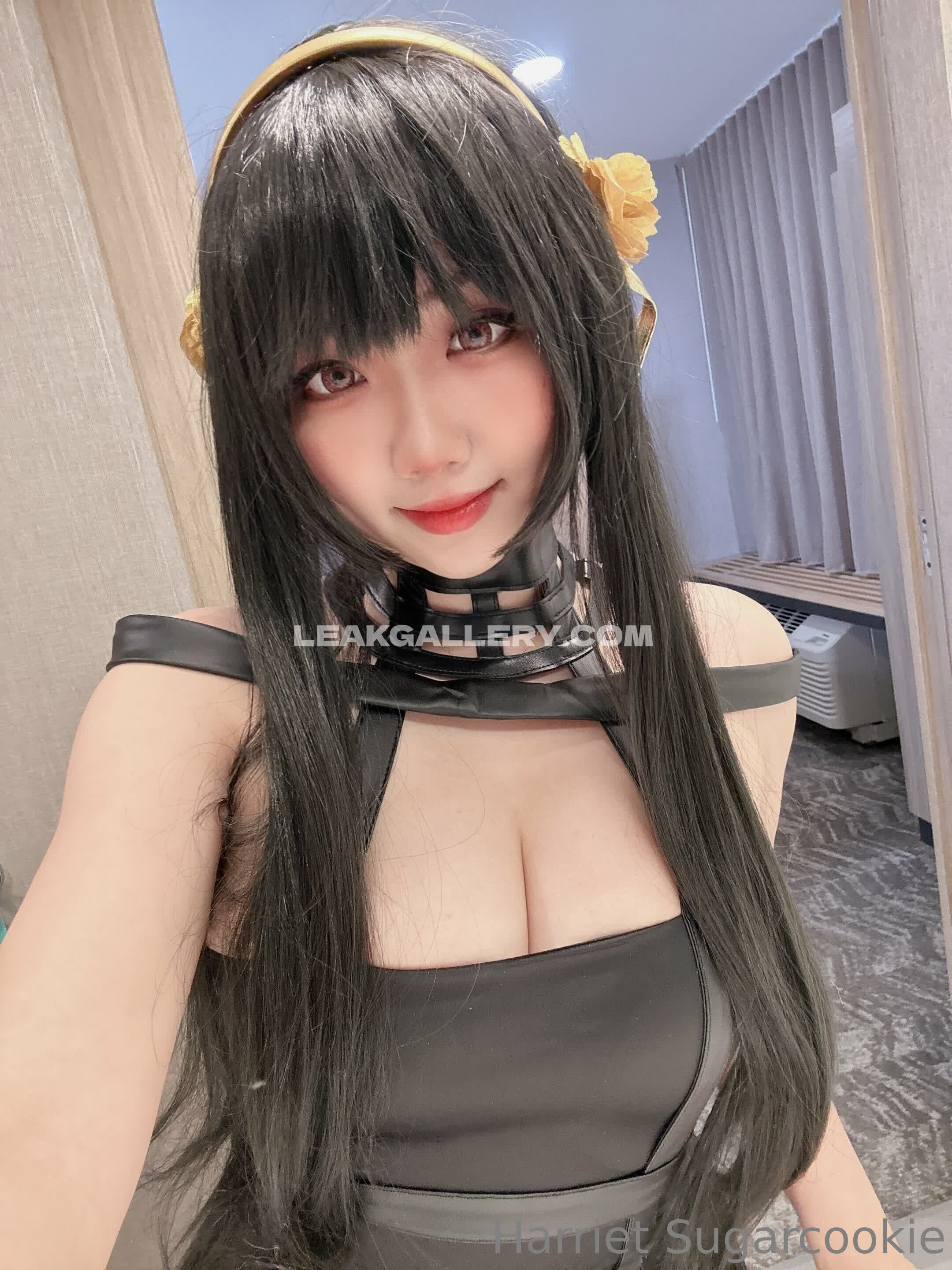 Harrietsugarcookie Exclusive Leaked Nude OnlyFans #12957680