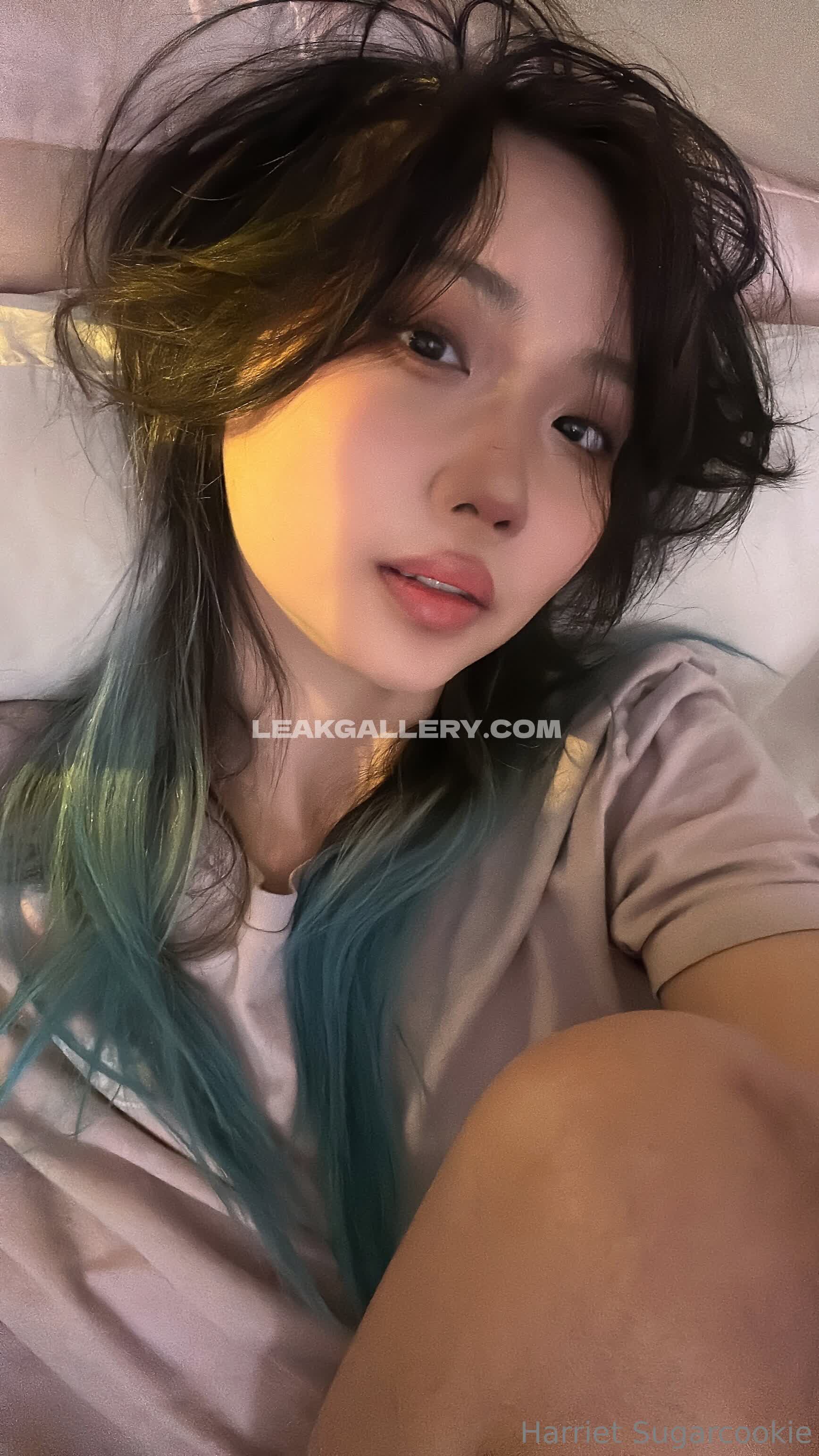 Harrietsugarcookie Exclusive Leaked Nude OnlyFans #12958414