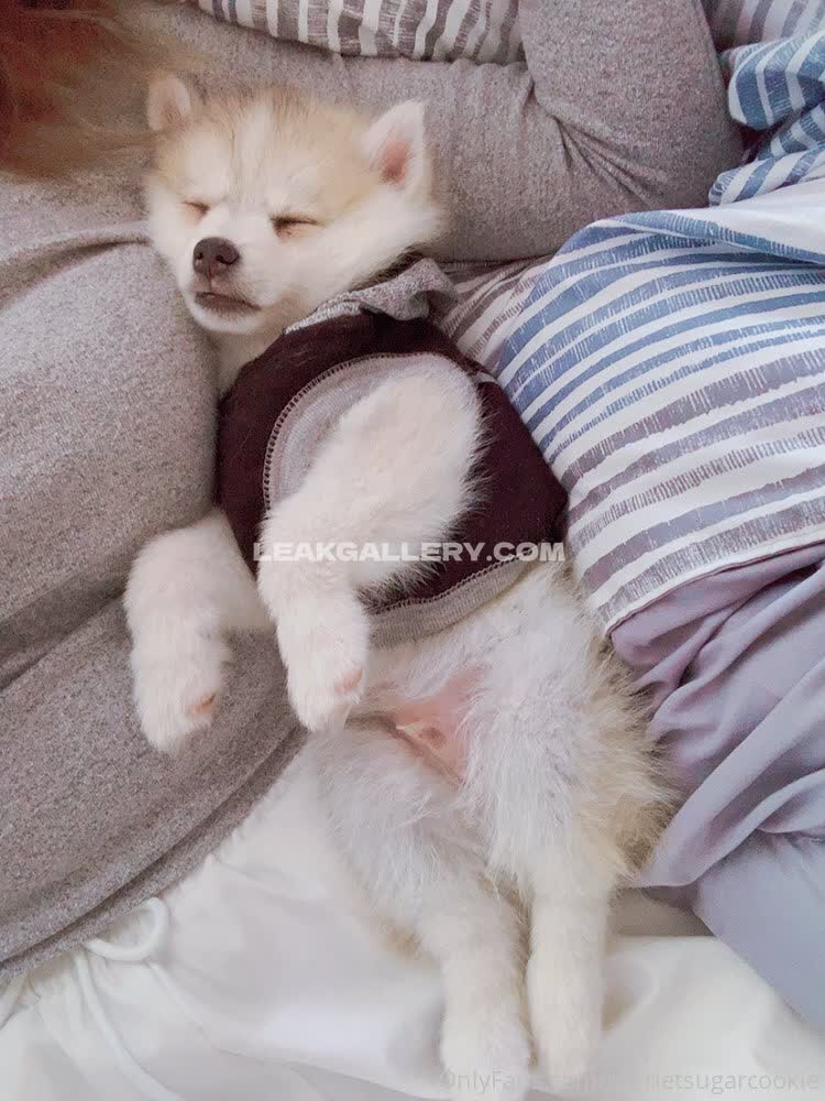 Harrietsugarcookie Exklusiv geleakte Nacktbilder von OnlyFans #12959399