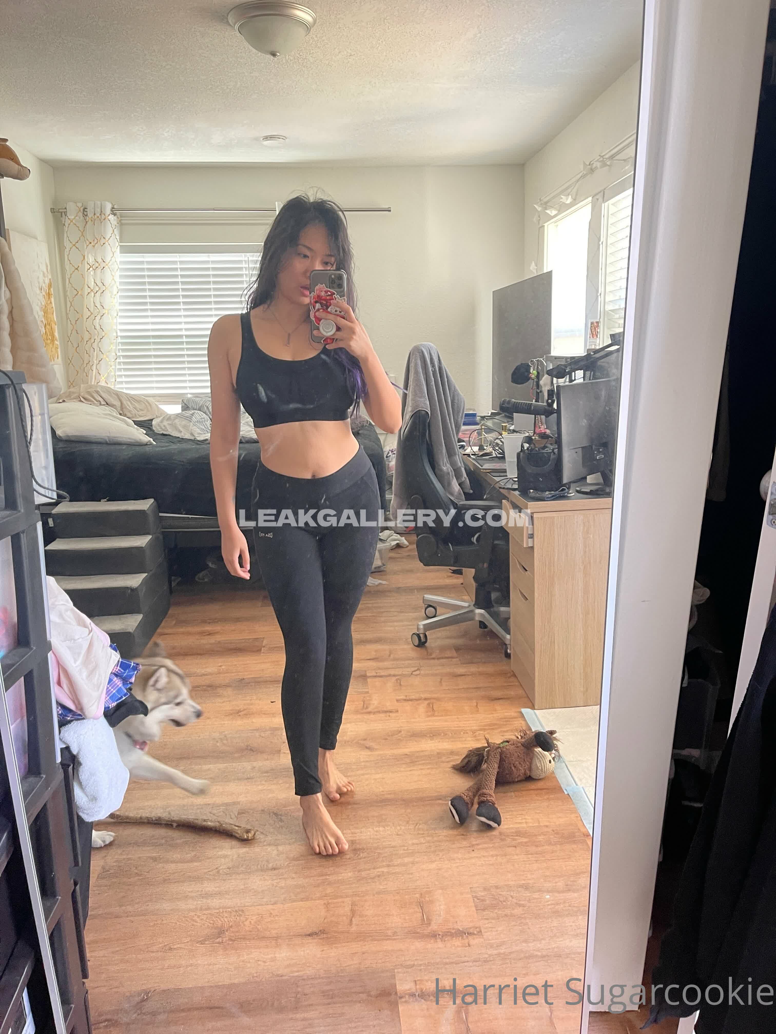 Harrietsugarcookie Exclusive Leaked Nude OnlyFans #12955986