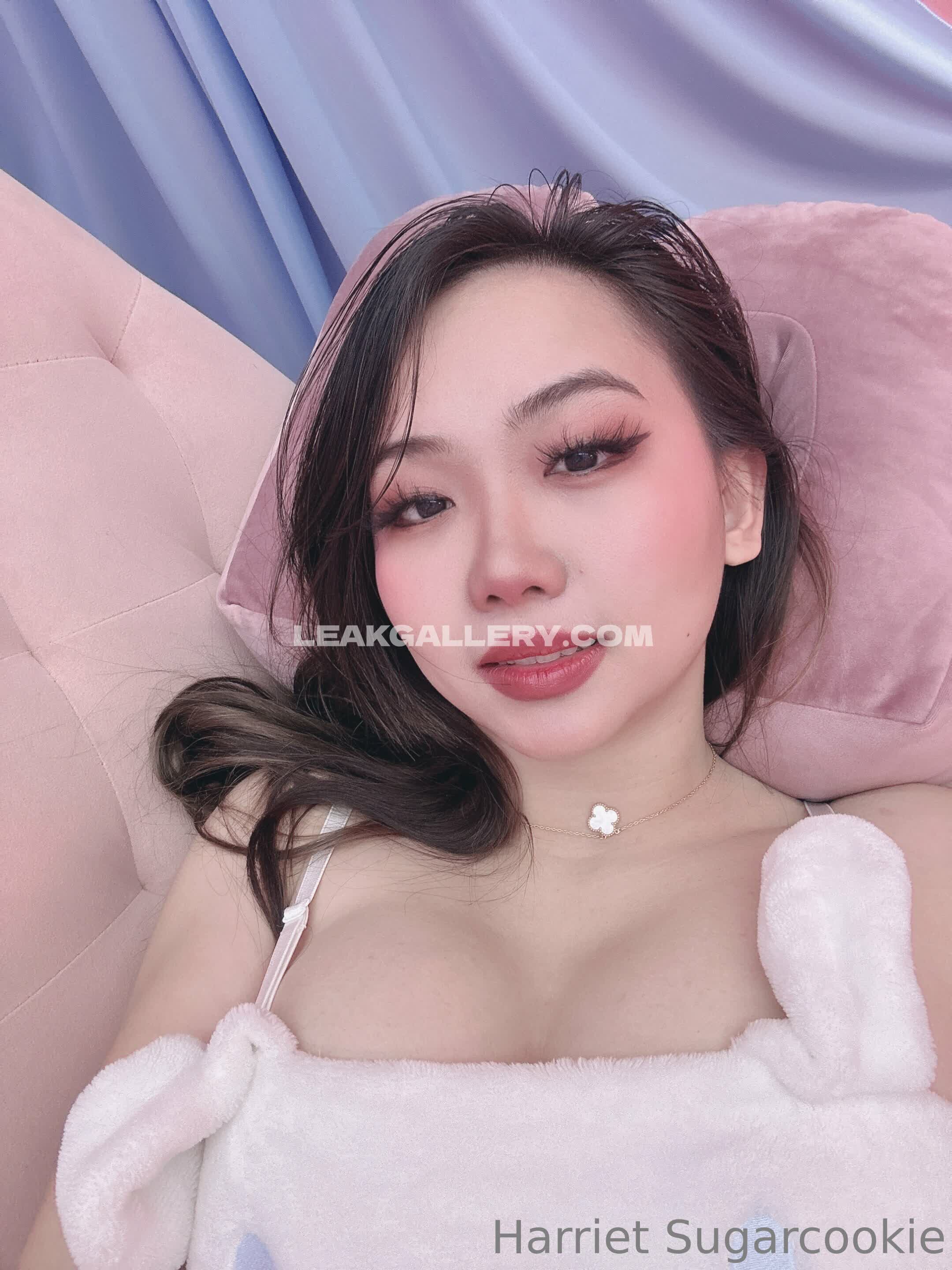 Harrietsugarcookie Exclusive Leaked Nude OnlyFans #12957986