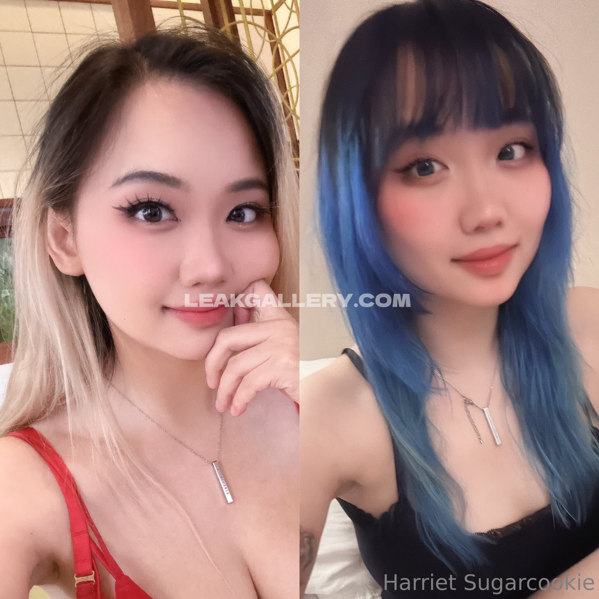 Harrietsugarcookie Exclusive Leaked Nude OnlyFans #12958158